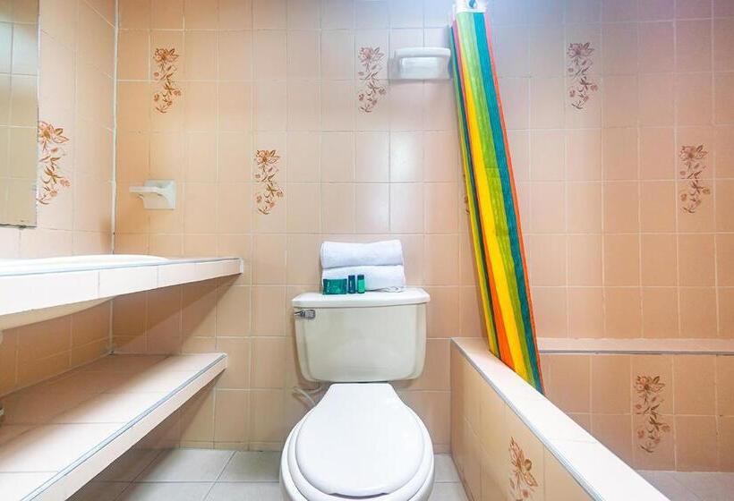 اتاق خانوادگی, Ayenda Pakande