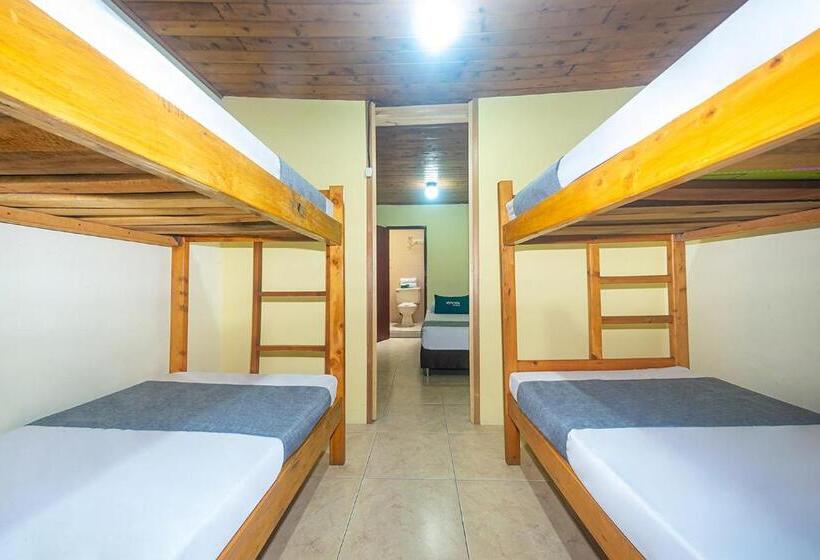 اتاق خانوادگی, Ayenda Pakande