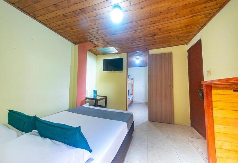 اتاق خانوادگی, Ayenda Pakande