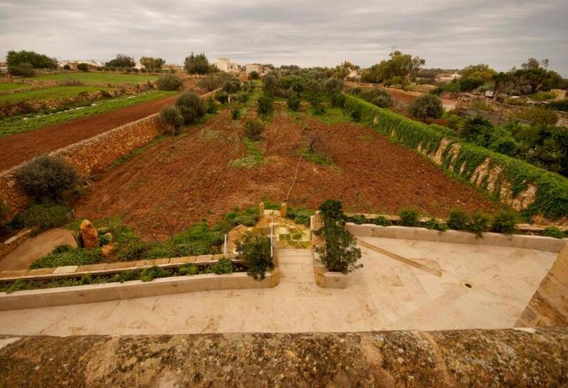 اتاق لوکس با چشمانداز باغ, Mulberries