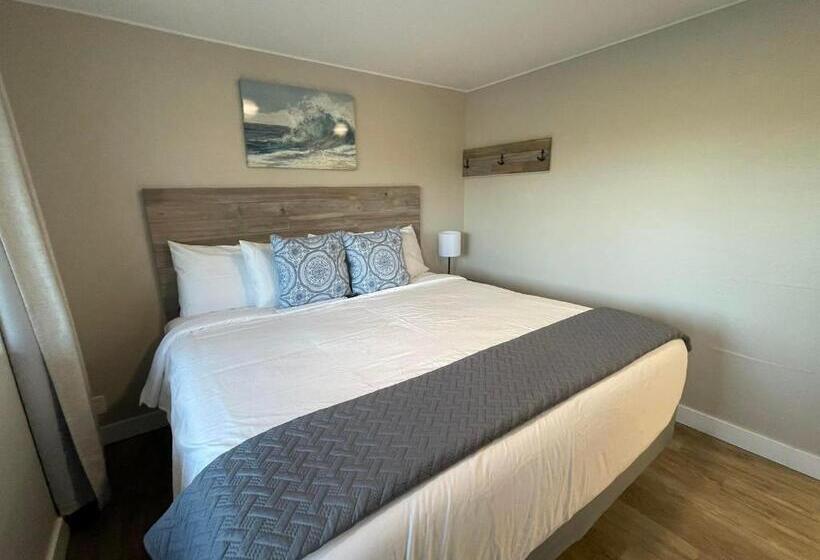 스탠다드 룸 킹사이즈 침대, Arena Del Mar