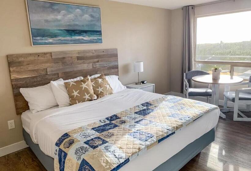 장애인을 위한 킹사이즈 침대 스탠다드 룸, Arena Del Mar