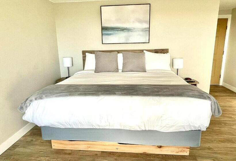 스탠다드 룸 킹사이즈 침대, Arena Del Mar