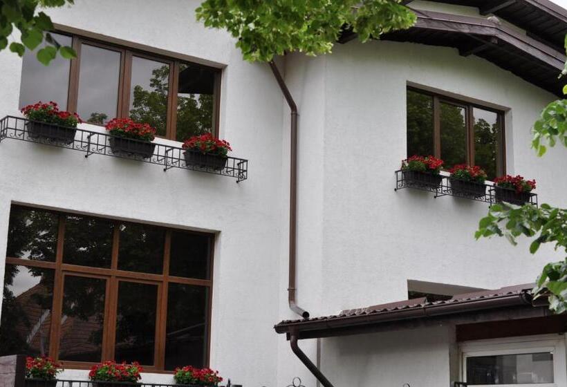 Номер Стандарт, Casa Romaneasca