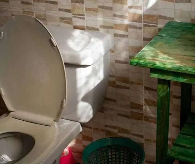اتاق خانوادگی, La Casa Del Nenufar