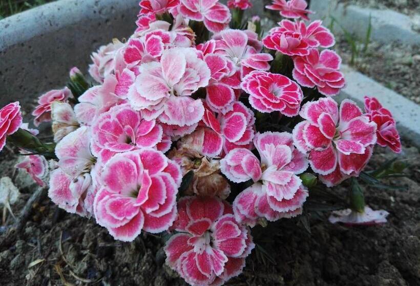 חדר סטנדרט עם מיטת קינג, B&b Rossella