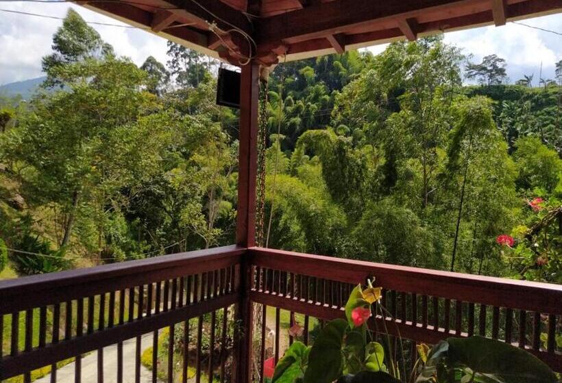 스탠다드 트리플 룸, Orillas Del Pizano