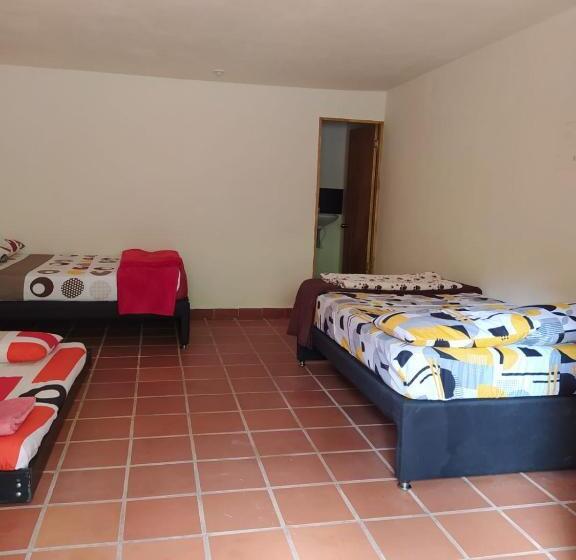 클래식 4인 룸, Orillas Del Pizano