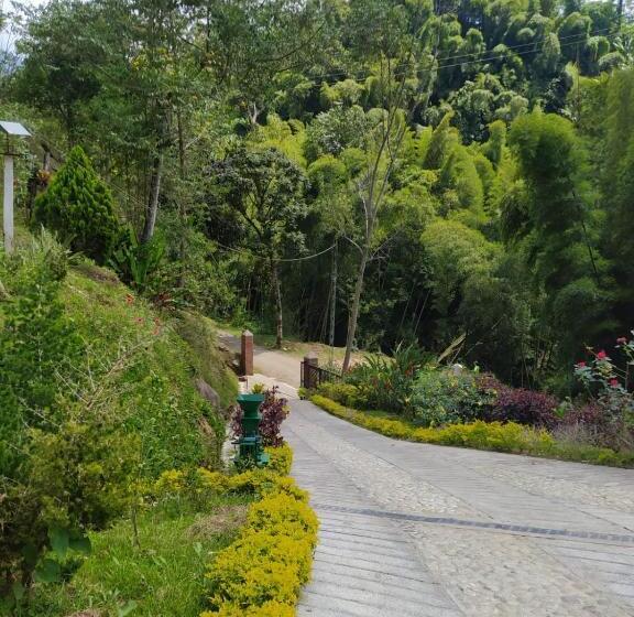 패밀리 룸, Orillas Del Pizano