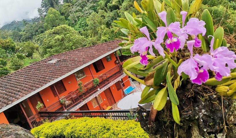 오두막, Orillas Del Pizano