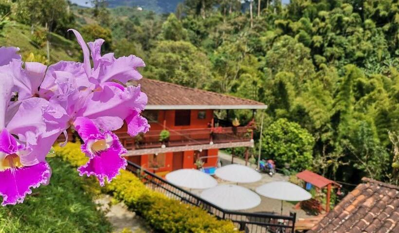 오두막, Orillas Del Pizano