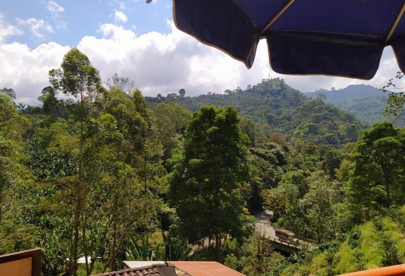 小室, Orillas Del Pizano