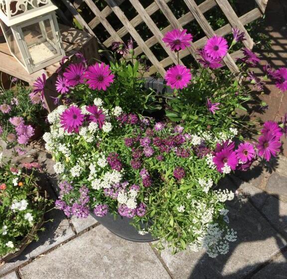 غرفة قياسية, Hausamhafen Bremerhaven Geestland