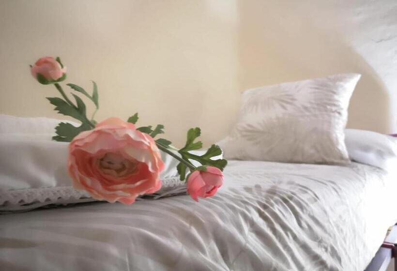 اتاق اکونومی, Santa Isabel Low Cost Rooms In Private House