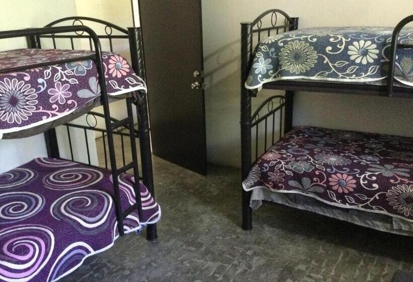 اتاق چهار تخته با دستشویی مشترک, Trotamundo Oaxaca Hostel