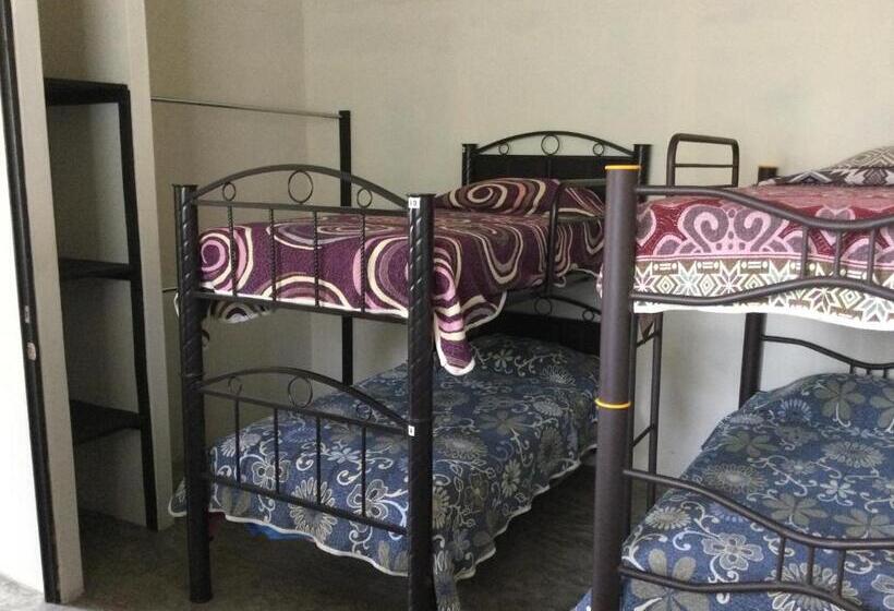 اتاق چهار تخته با دستشویی مشترک, Trotamundo Oaxaca Hostel