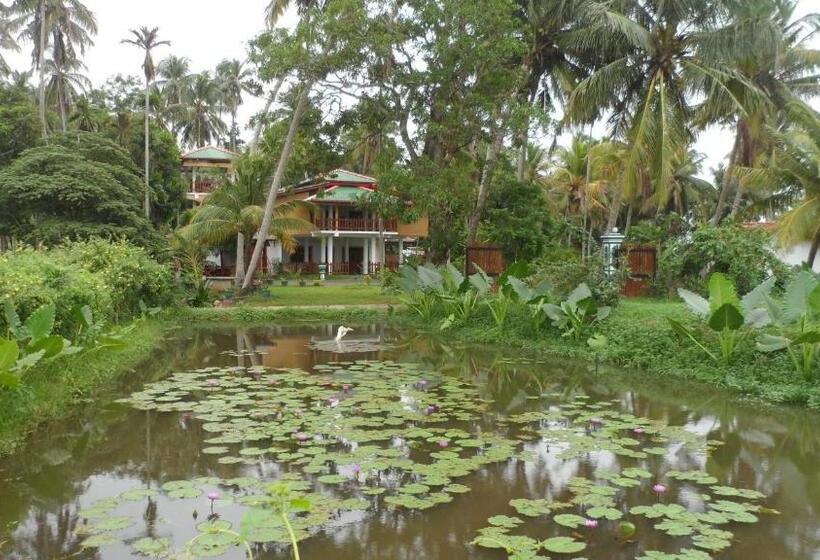 اتاق استاندارد سه تخته با چشمانداز باغ, Birds View