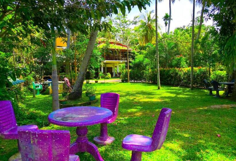 اتاق استاندارد سه تخته با چشمانداز باغ, Birds View