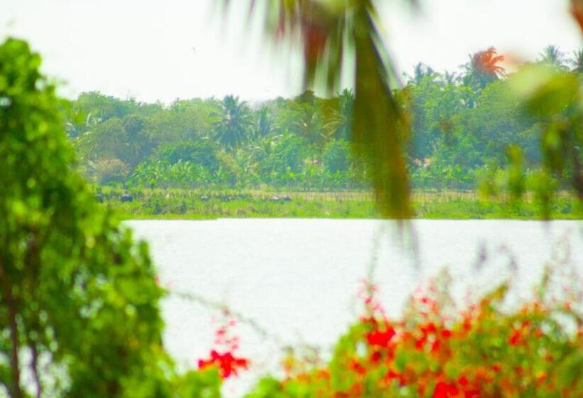 اتاق استاندارد سه نفره, Birds View