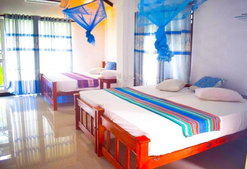 اتاق استاندارد سه نفره, Birds View