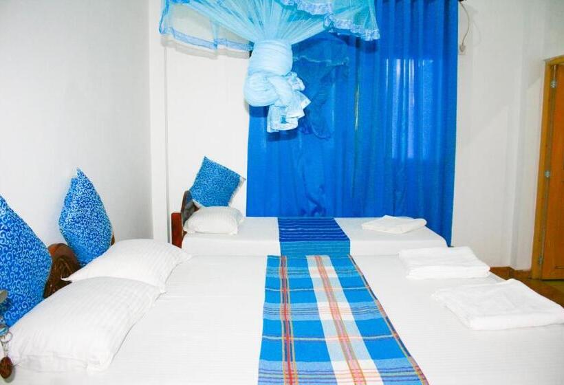 اتاق خانوادگی, Birds View