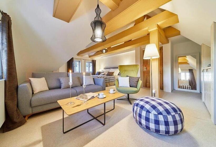 带1个卧室的豪华公寓, Bouda Helena