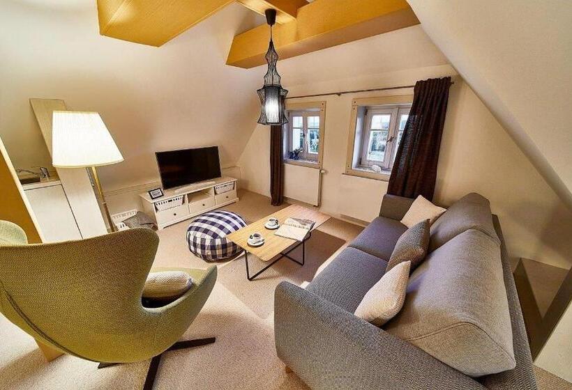 带1个卧室的豪华公寓, Bouda Helena