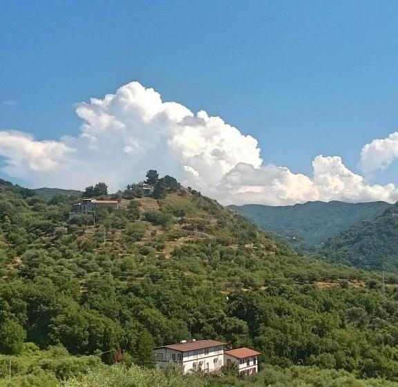 اتاق استاندارد چهار تخته, Michelangelo S House