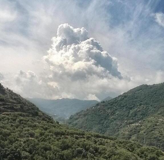 חדר סטנדרט לארבעה, Michelangelo S House