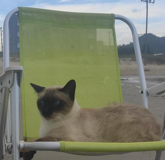 带3个卧室的公寓, Pousada Brisamar Morro Dos Conventos