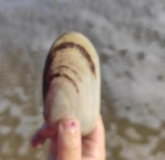 带3个卧室的公寓, Pousada Brisamar Morro Dos Conventos