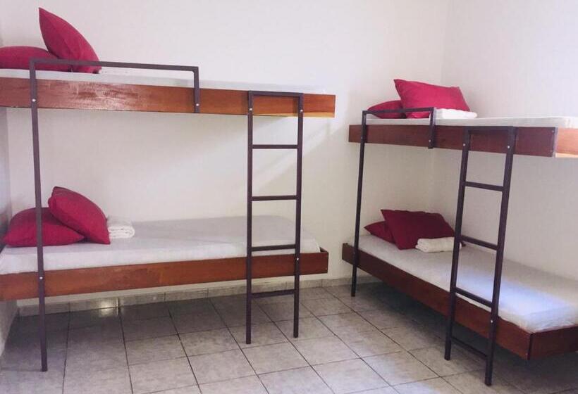 共用房间的床, Vale Hostel