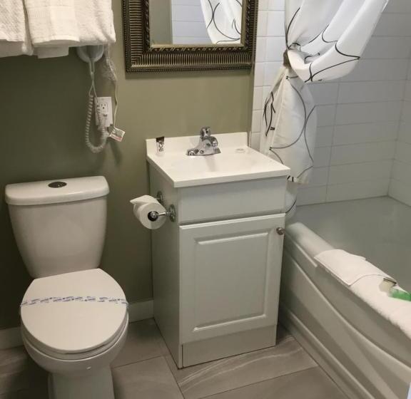 スタンダードルーム, Ace Motel