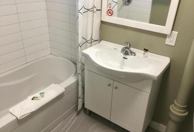 デラックスルーム, Ace Motel