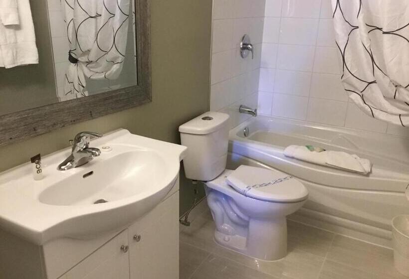 スタンダードルーム, Ace Motel