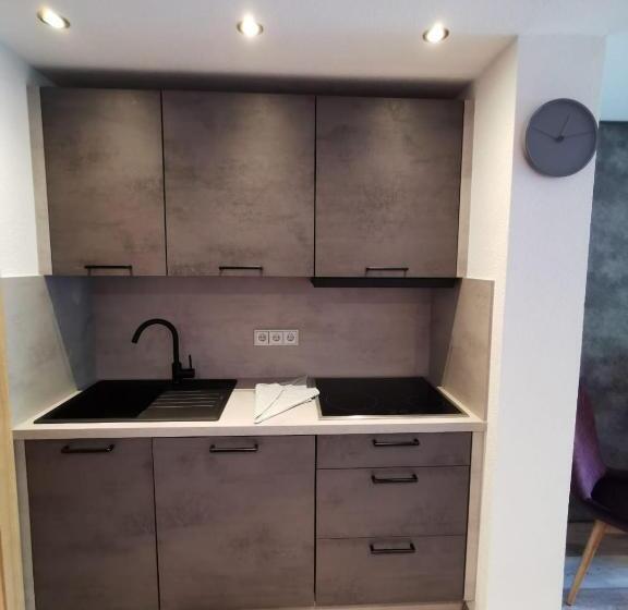 Апартаменты Deluxe 1 Спальня, Haus Lusspark