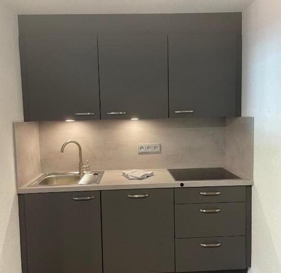 דירת חדר סופריור, Haus Lusspark