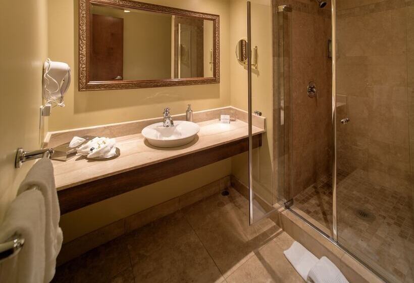 سوییت جونیور, Brossard