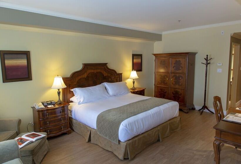 سوییت جونیور, Brossard