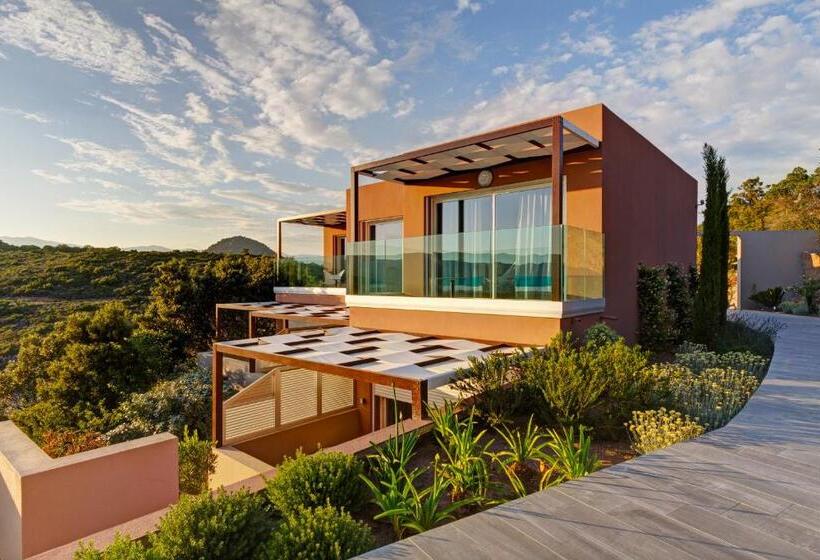 سوییت جونیور لوکس, Carre Noir