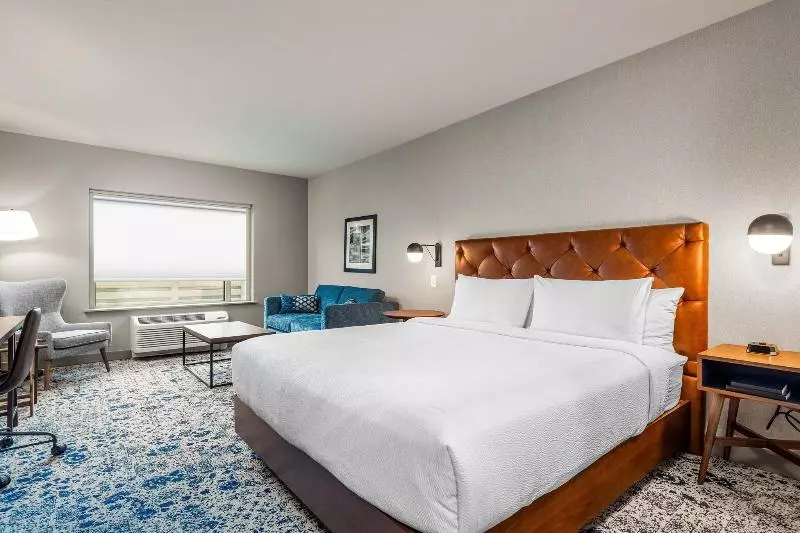 キングサイズベッドのスタンダードルーム, Four Points By Sheraton Kelowna Airport