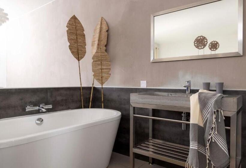 חדר יוקרתי, Le Mas Du Terme