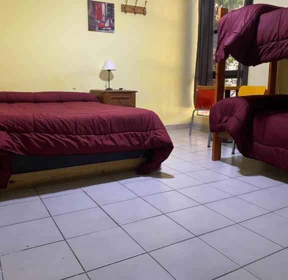 اتاق استاندارد چهار تخته, Mitre Suites