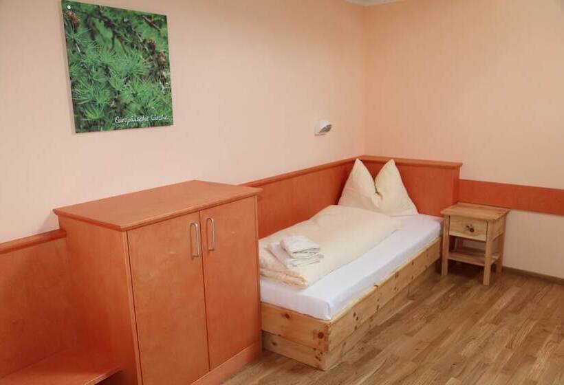 Номер Стандарт Индивидуальный, Jufa Hotel Hochrindl