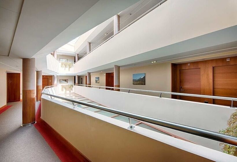 标准间, Zalle Don Fernando