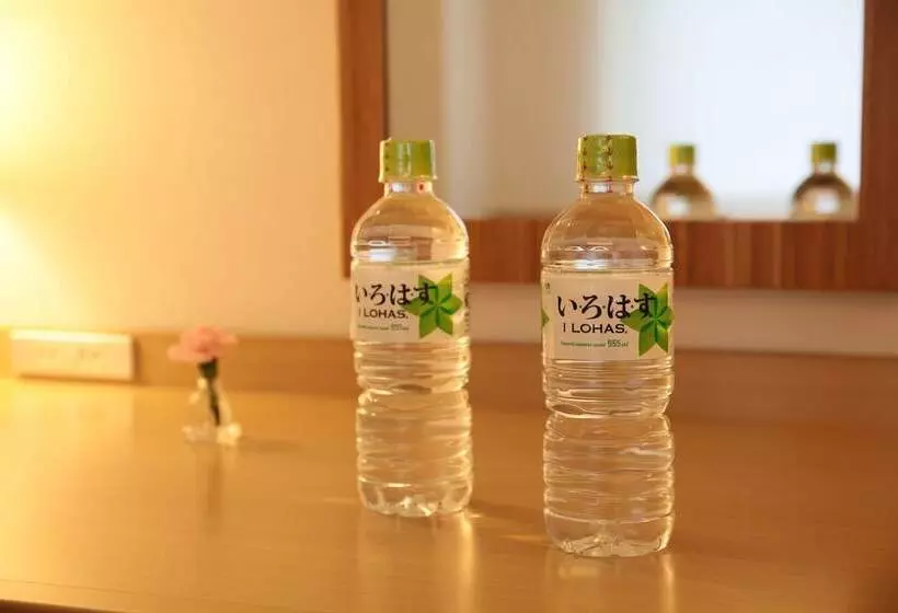 اتاق لوکس یک تخته, Shin Osaka Station Hotel Annex