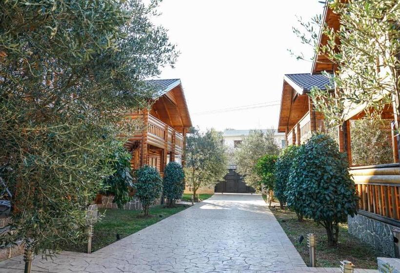 بانگلوی استاندارد 2 خوابه, Apart Hotel Llolla