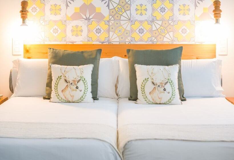 غرفة سوبيريور, Catalina