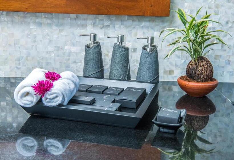 디럭스 룸 산전망, Earl S Regent