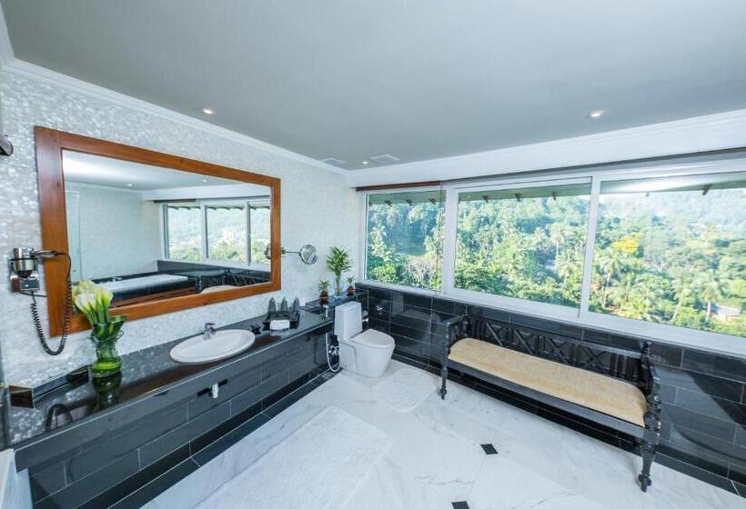 산 전망 스위트, Earl S Regent